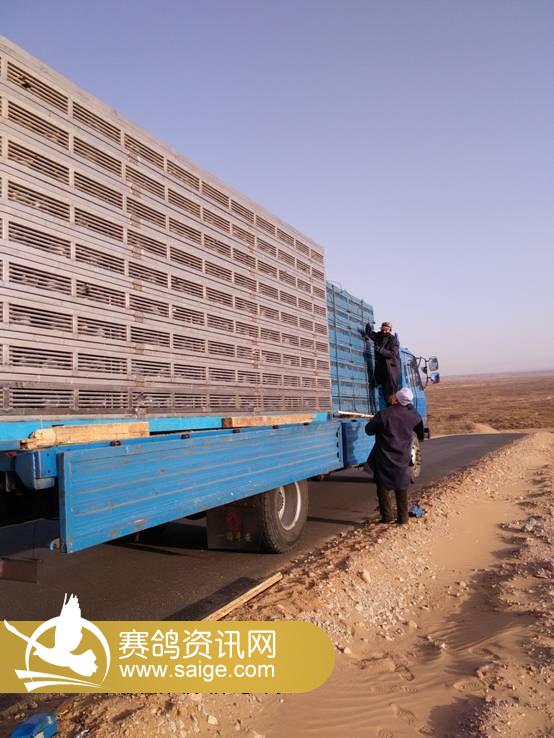 C:\Users\Administrator\Desktop\�½��ļ��� (3)\IMG20150309083100.jpg