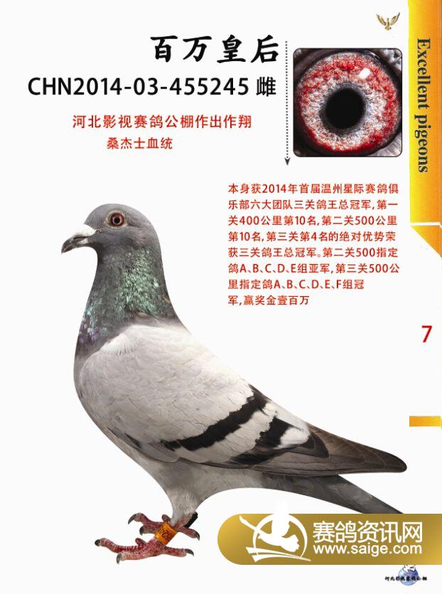 g_515c97e1-9849-4bbf-8443-914325ec7e33.jpg