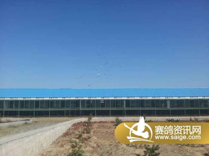 g_a18aafc1-fb93-42dd-9895-adfdaeeb14e4.jpg
