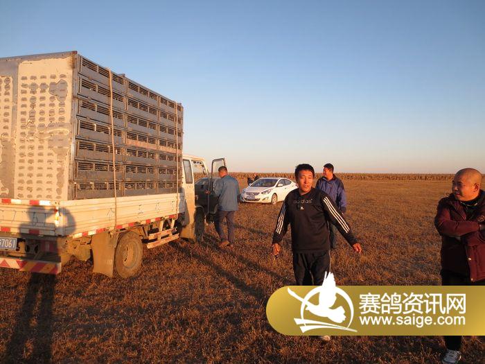 吉林恒大公棚100公里训放图片_公棚动态_吉林