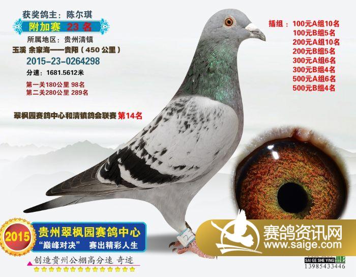 翠枫园附加赛拍卖鸽图集(16-30)_公棚动态_贵州翠枫园