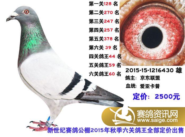 g_21fa58d9-db8f-401c-b0f8-f2e91efc728c.jpg