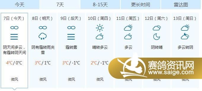 g_6bda785d-8575-4e21-8620-b97bc91dc55c.jpg