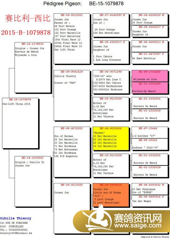 华东国际赛鸽中心外籍获奖鸽血统书_公棚动态