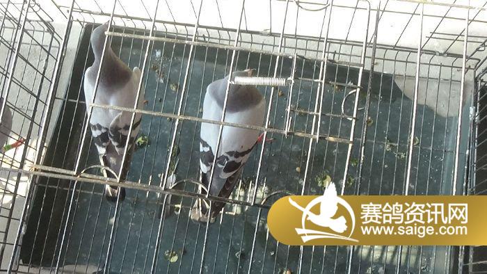 周礼、四川大丰、成都金堂、蓬溪、射洪、中江