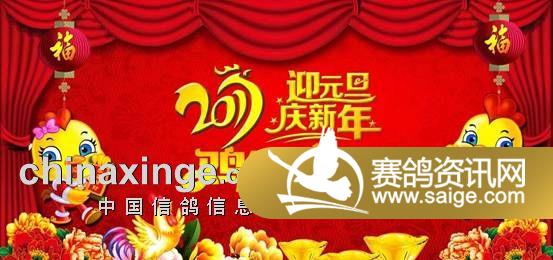 22176914_215627531035_2