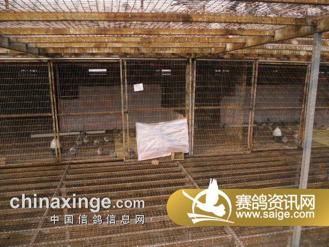 g_73f1ae91-3ad1-4c36-aafb-6a921db16adb.jpg