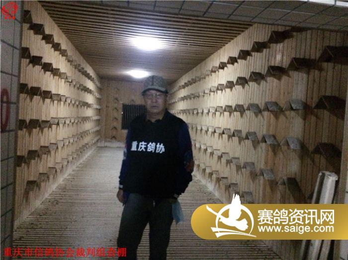 重庆宏艺翔第四届热身赛赛鸽上笼场景图集2_公棚动态