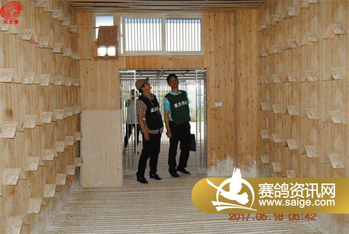 重庆宏艺翔赛鸽公棚第四届加站赛现场报道