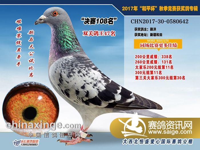 g_41178514-f4a5-4c35-9dbc-bd8a7157cd01.jpg