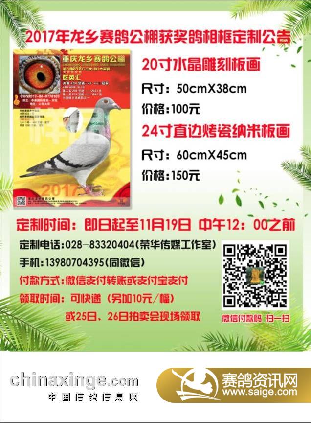 QQ图片20171115122356