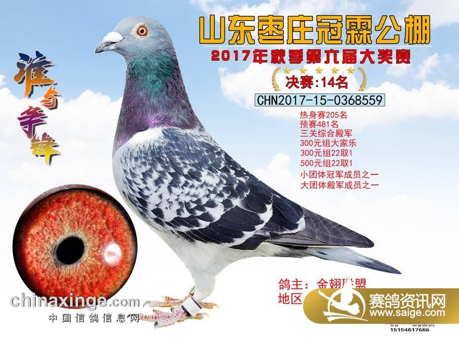 14.jpg