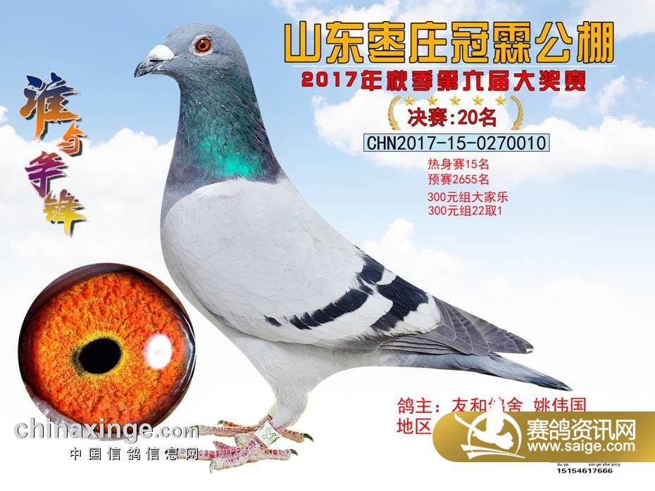 20.jpg