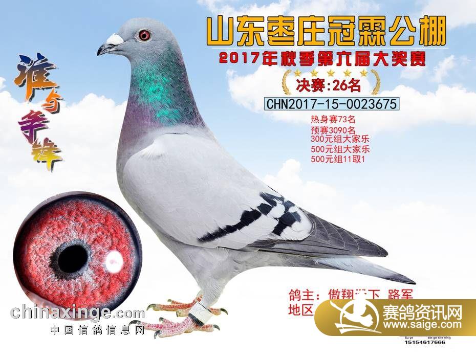 26.jpg