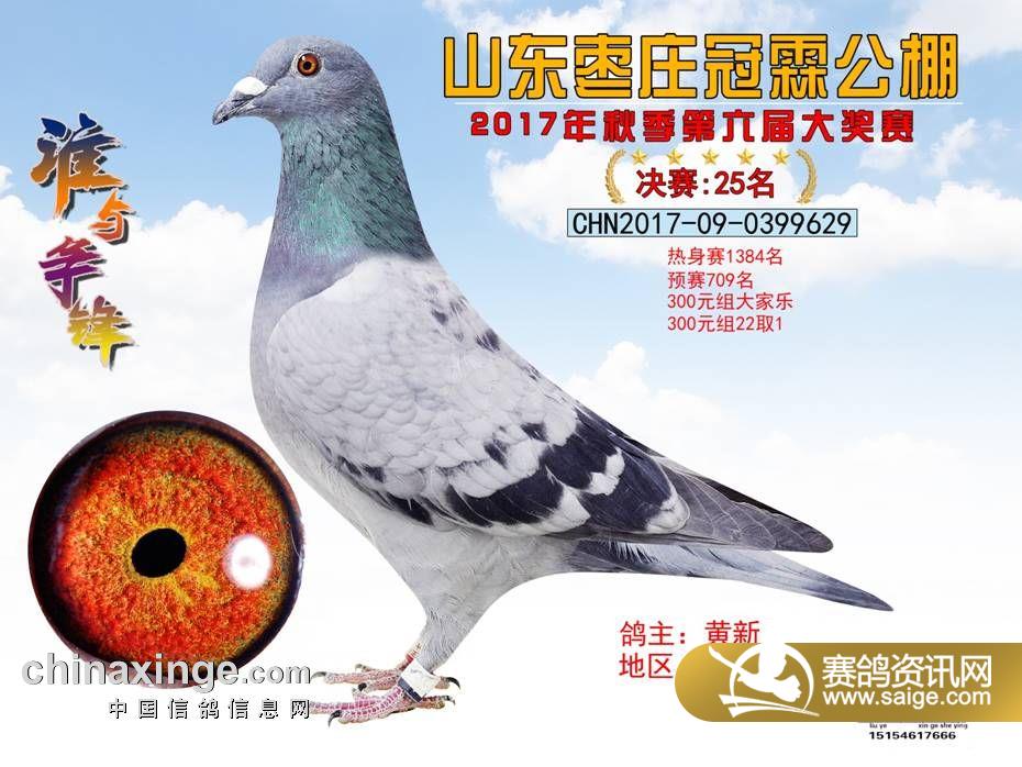 25.jpg