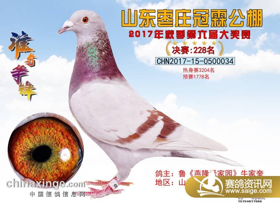 228.jpg