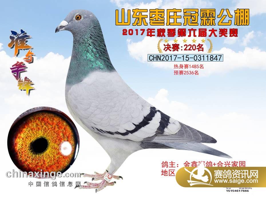 220.jpg