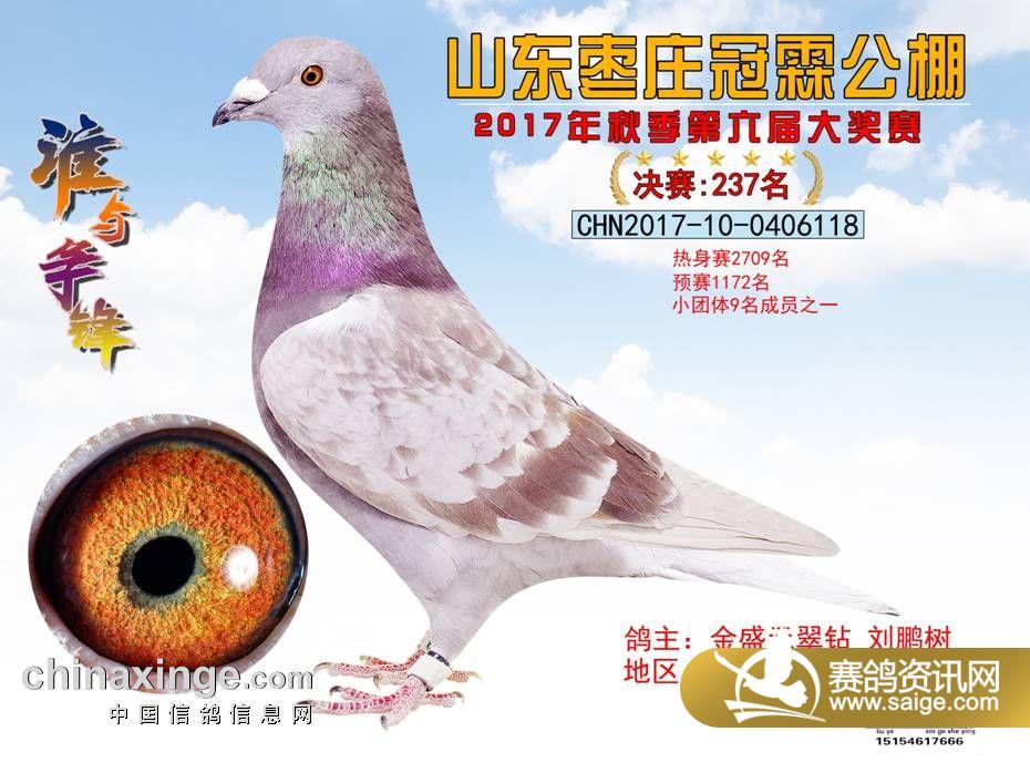 237.jpg