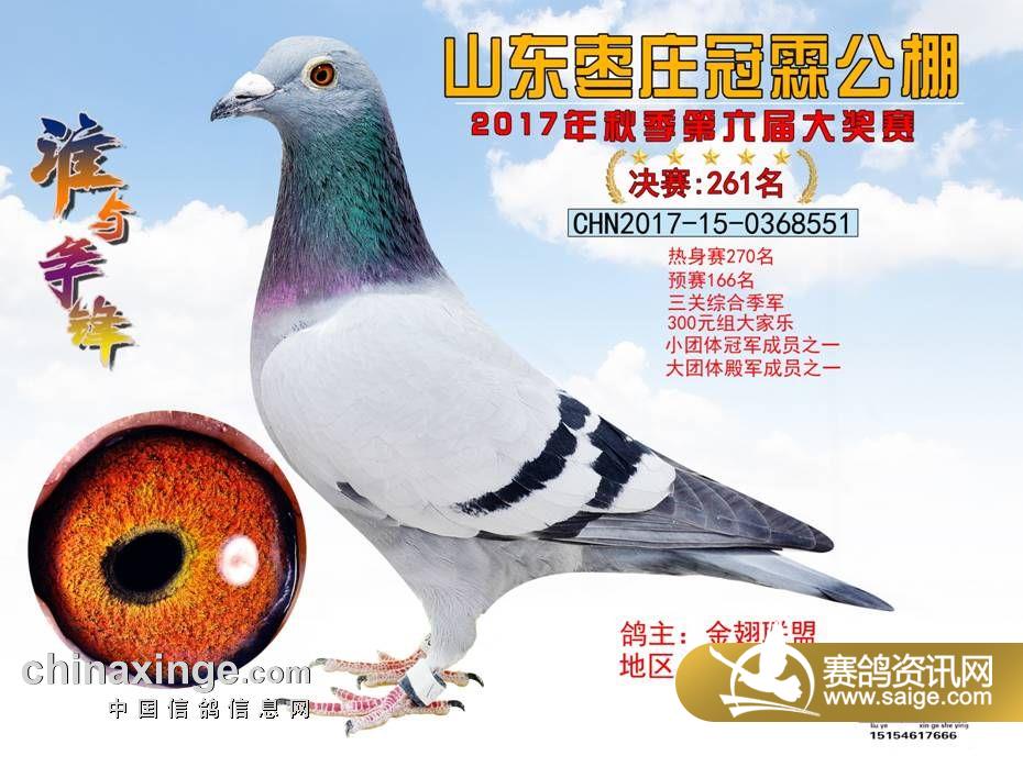 261.jpg