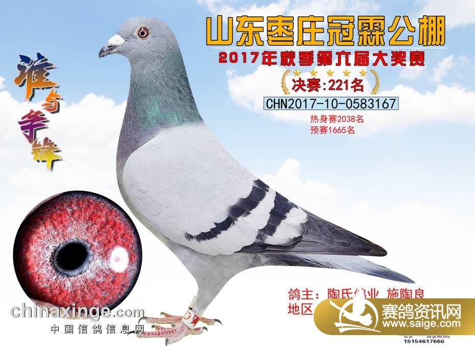 221.jpg
