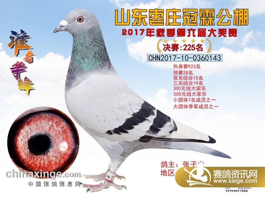 225.jpg