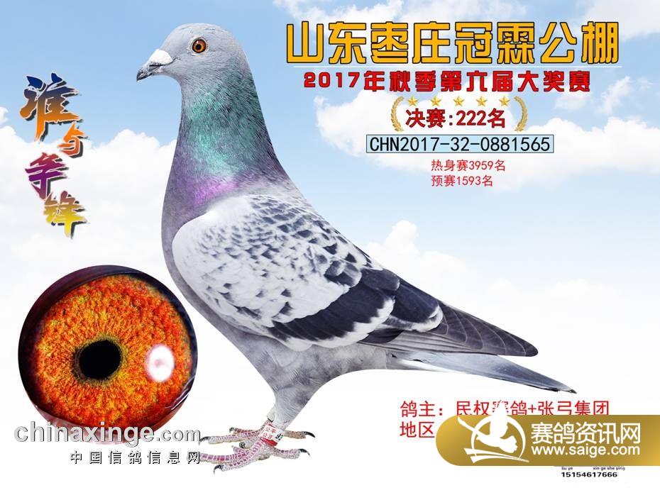 222.jpg