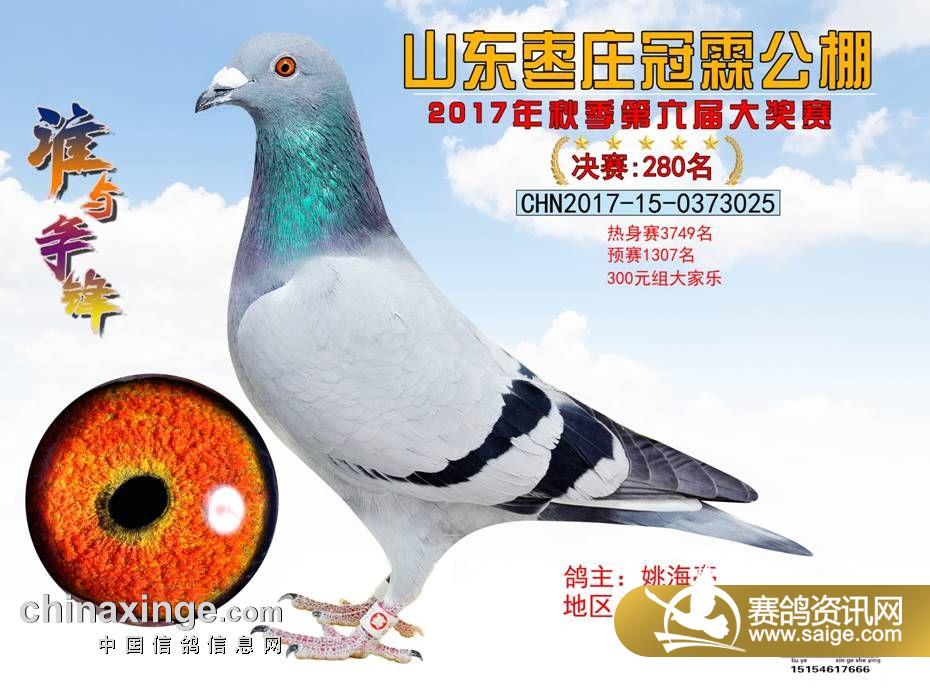 280.jpg