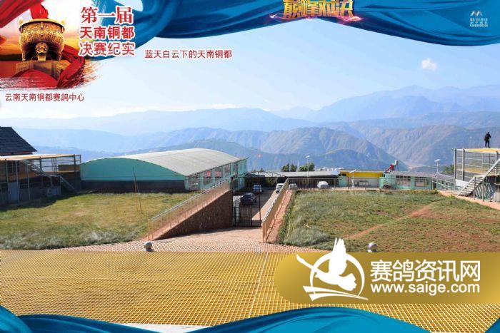 云南东川天南铜都赛鸽中心350km决赛上笼纪实_公棚_天