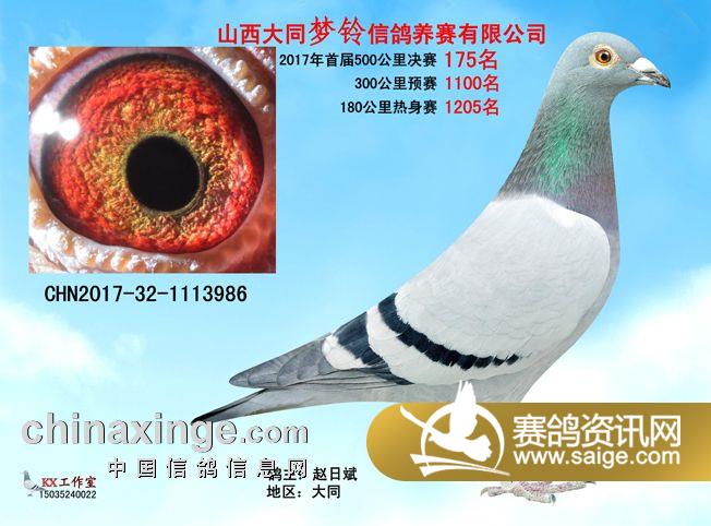 g_5b5565cd-62c2-4218-a23d-eb3f81f4659a.jpg