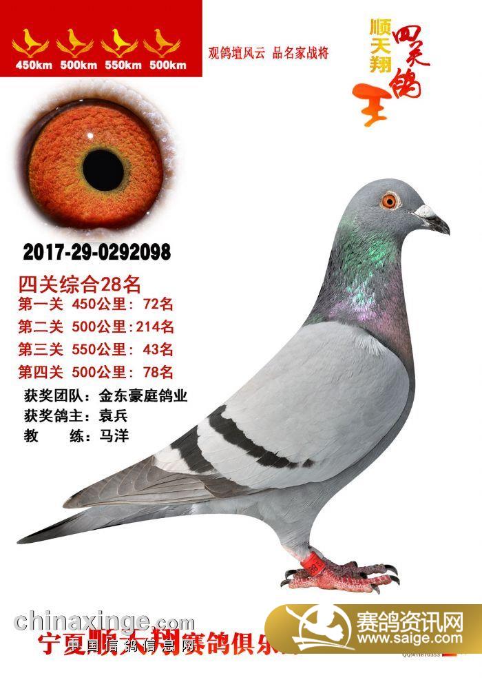 宁夏顺天翔赛鸽俱乐部首届四关鸽王铭鸽图1-30名