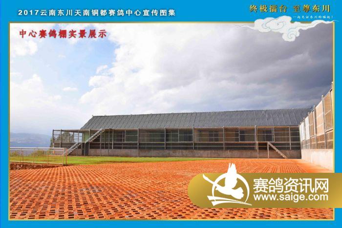 云南东川天南铜都赛鸽中心宣传片_公棚动态_云南东川