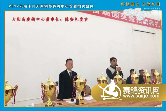 云南东川天南铜都赛鸽中心宣传片_公棚动态_云南东川