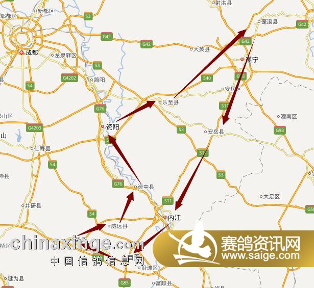 内江,自贡,荣县,威远,资中,资阳,乐至及周边地区接鸽若您有爱鸽送交请