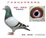 相册封面
