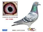 相册封面