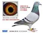相册封面