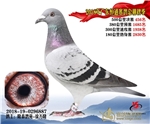 相册封面