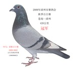 相册封面