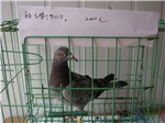 相册封面