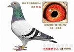 相册封面