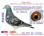 相册封面