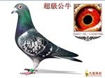 相册封面