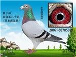 相册封面
