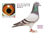 相册封面