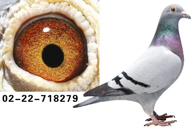 ����279