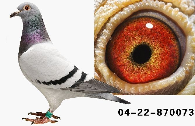 �Ǿ�073