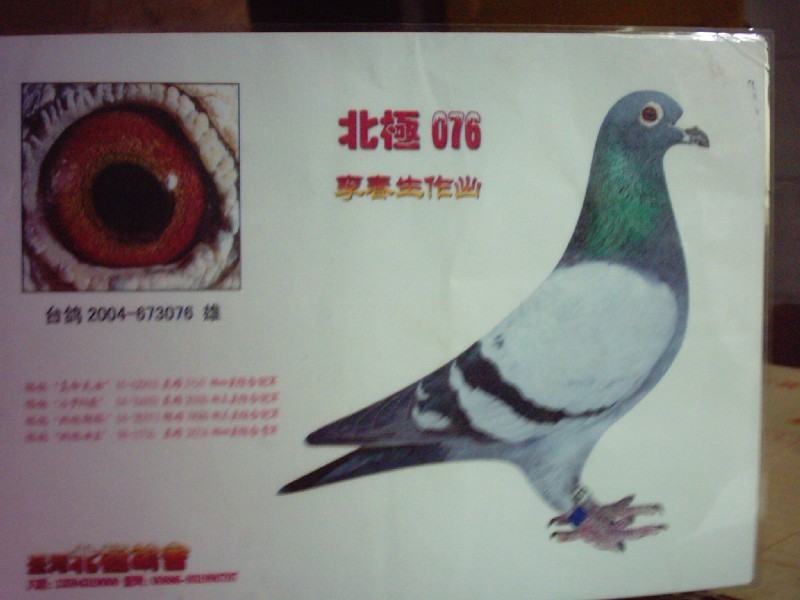 台湾势山系