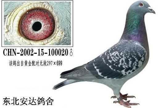 �޵�297֮��