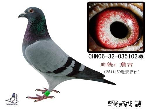 ղ��������459������