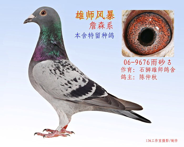 ��ʦ�籩